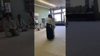 Roy Goldberg Sensei senior student Martinez Sensei  teaching Age Aiki in Denton ,Texas