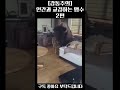 감동주의 인간과 교감하는 맹수들 2편 감동 동물 맹수 교감 인간 animals