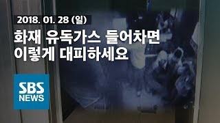 화재 유독가스 들어차면 이렇게 대피하세요 / SBS