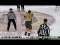 jamie benn and nic hague fight