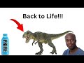 How to bring Dinosaurs back to life