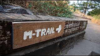 M Trail in Missoula to close May 3 10