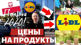 ЦЕНЫ НА ПРОДУКТЫ В ПОЛЬШЕ. LIDL 2020. ПОДРОБНЫЙ ОБЗОР ЦЕН В ЛИДЛЕ. "КАК выЖИТЬ В ПОЛЬШЕ" 2020.