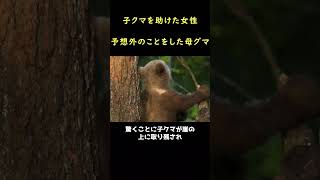 母グマの恩返し！🐻