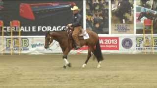 Shining Tinsel - Novice Horse Open Reserve Champion 2013 Derby Italy