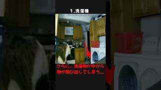 【トラウマ注意!】カメラが捉えたぞっとする心霊・恐怖映像! #shorts #心霊 #ゆっくり解説