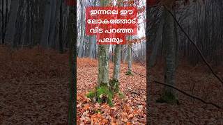 ഇന്നലെ ഈ ലോകത്തോട് വിട പറഞ്ഞ പലരും # Islamic motivation# Karunya Islam # Islam education viral