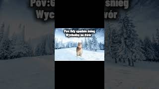 Pov:Gdy spadnie śnieg #cats #animations #capcutedit #edit #shorts