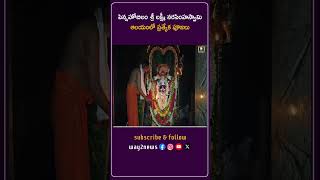 పెన్నహోబిలం శ్రీ లక్ష్మీ నరసింహస్వామి ఆలయంలో ప్రత్యేక పూజలు | Ananthapur | Andhra Pradesh | Way2n..