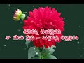 Thenekanna Theeyanainadi Naa Yesu Prema Good Jesus Song telugu lyrics