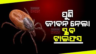 1 More Dies Of Scrub Typhus In Odisha's Bargarh