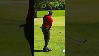 Tiger Woods Chipping