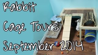 BudgetBunny: First **Official** Rabbit Cage Tours | September 2014