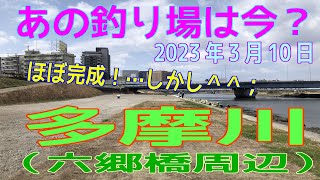 あの釣り場は今？「多摩川（六郷橋周辺）」2023年3月10日