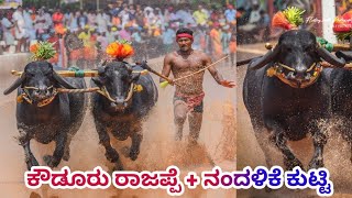 Kowdooru Rajappe+Nandalike Kutti Super Race in Moodabidri Kambala 2021 | Namma Kambala