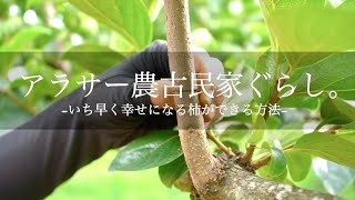 【ポツンと農家】アラサー農家男子のリフレッシュ方法｜田舎暮らしのデメリット｜幸せになる柿｜あぐりカルチャーショック｜奈良