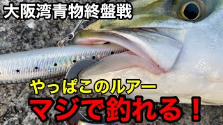 【大阪湾で青物釣るなら】この激安ルアーがオススメ！