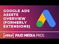 Google Ads Assets (formerly Extensions)