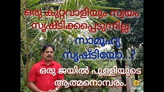 ഒരു ജയിൽ പുള്ളിയുടെ ആത്മനൊമ്പരം