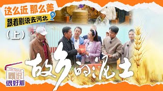 热腾腾的大馒头有多好吃？去看看《故乡的泥土》又上演了什么有趣的事儿《剧说很好看》20241123【CCTV电视剧】