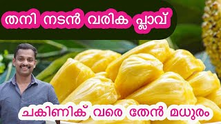 nadan varika #best plavu in kerala #best jack fruit #sweet jackfruit #varika chaka #kl06 farm