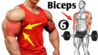 6 Best Exercises Bigger Biceps At Gym - Biceps Workout