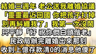 結婚三週年，老公送我一份離婚協議，「靈靈最近回國 你把孩子打掉別再和我糾纏了」我第一次沒鬧，只平靜「好 祝你們白頭偕老」民政局辦完離婚出來那刻，收到上億存款清零的消息他傻了