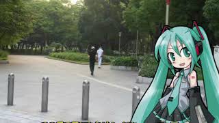 【初音ミク　アペンド　solid】ラジオ体操のうた