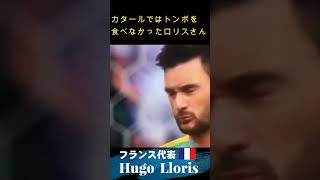 『ロリス W杯』で検索するとこればっかり出てくる