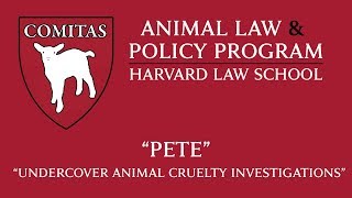 Animal Law Week | Undercover Animal Cruelty Investigations