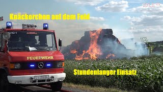 Starker Wind facht Flammen an/Agraranhänger und Strohballen in Brand Markranstädt [30.06.2020]