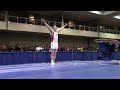 jacob dastrup vault 2014 winter cup prelims