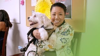 The Pros and Cons of Pets at Work