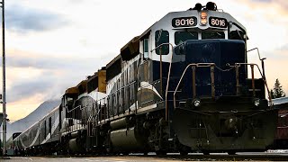 RMRX 8016 Leads 10R (Rocky Mountaineer) East at Banff AB, CP Laggan Subdivision. 07/02/2022