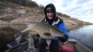 BCF - Lake Copeton Murray Cod Action