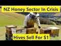 Crisis in the Hive - New Zealand's Honey