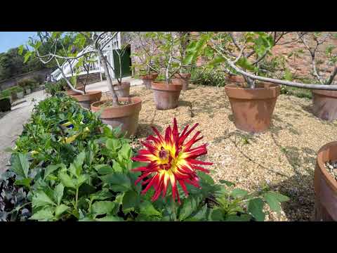 Lost Gardens of Heligan May 2018 Lost Gardens of Heligan May 2018