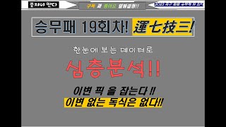승무패19회 심층분석-2부