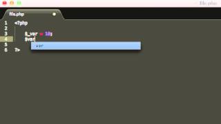 PHP Tutorial 3-Declaring variables