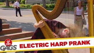 Electric Guitharp Insanity