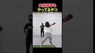 大谷翔平 もやってるやつ                  【Shohei Ohtani HR】ドジャース　ホームラン #shorts #tiktok    #viral #shoheiohtani