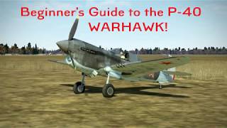 IL-2 BoS: P-40 Beginner's Guide