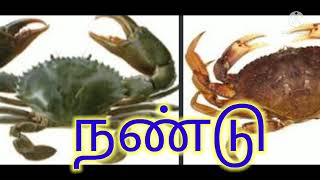 ஒலி வேறுபாடு அறிக