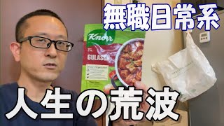 【無職日記】ドイツの味を楽しみつつ人生の荒波を感じる40代一人暮らしの日常/生活/暮らし/ルーティン