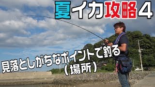 夏イカエギング攻略！こんな場所も狙うと釣れる/summer eging Strategy