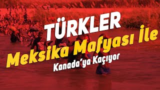 Anadolu’dan Kanada’ya. Meksika Mafyası Türklerin kaçışına nasıl yardım ediyor?