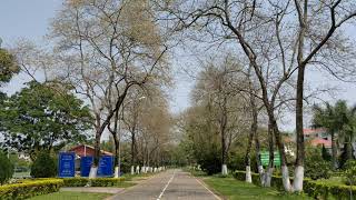 Beautiful Campus of Tezpur University-4K