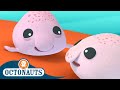 Octonauts - Blobfish Brothers and The Beluga Whales | Cartoons for Kids | Underwater Sea Education