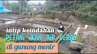 Yu intip kegiatan ngasih pakan ikan air deras di gunung menir, indah banget alamnya. #ikanmas