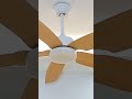 a modern and minimalist style ceiling fan with light fanlight odmfactory automobile odm home